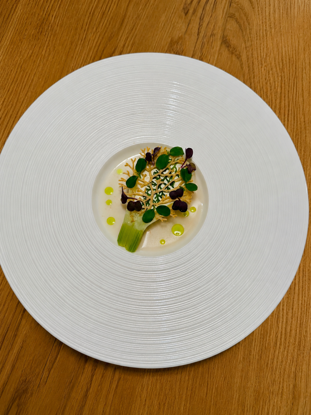 Verdant dish photographed from above with fennel, citrus cream, dill oil and caramel tuile